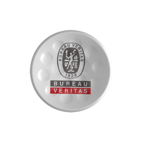 TWiNTEE Bureau Veritas golf tee